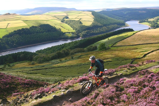 Moorland - West Yorkshire